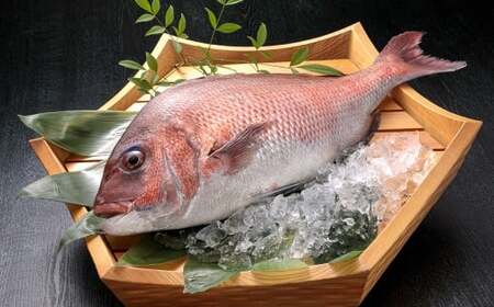 鯛のあら炊き 600g×4袋 計2.4kg 鯛 あら炊き あら煮 煮付け 煮付 煮物 和食 魚 簡単 冷凍 福岡県 北九州市