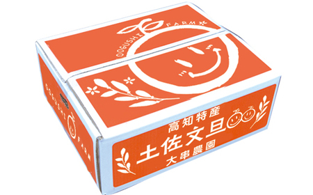 文旦 家庭用 10kg 土佐文旦