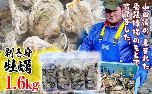 【先行予約】三陸山田産 剥き身 牡蠣 400g×4パックセット 明神丸かき・ほたてきち 岩手県 三陸 山田湾 かき カキ kaki MZ004-4s-r8 4パックセット