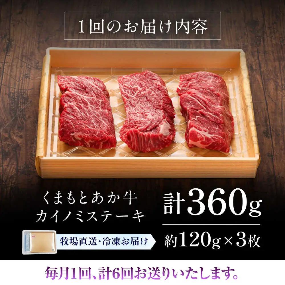 6回定期便 GI認証 くまもとあか牛カイノミステーキ 約120g×3枚 BHAS061 ステーキ
