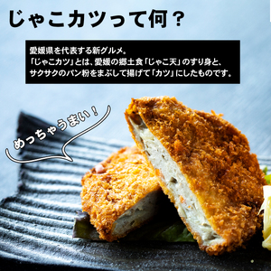 じゃこカツ 9枚 3枚×3袋 安岡蒲鉾店 先行予約 じゃこ天 天ぷら 小魚 すり身 練り物 ねりもの 練り製品 さつま揚げ 冷蔵 惣菜 フライ おでん 具 出汁 だし 小分け 酒 おつまみ 肴 魚肉 