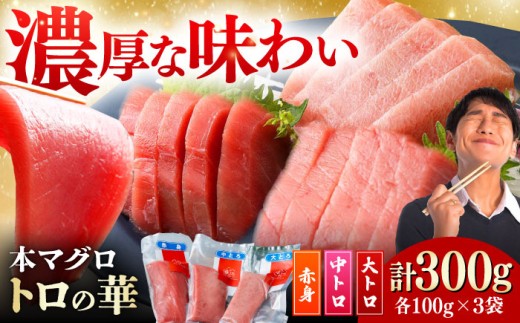 【2月中にお届け】対馬産 本マグロ 詰め合わせ 《 対馬市 》【 桐谷商店 】 トロの華 マグロ 大トロ 鮪 刺身 まぐろ 食べ比べ セット [WAQ003-02]