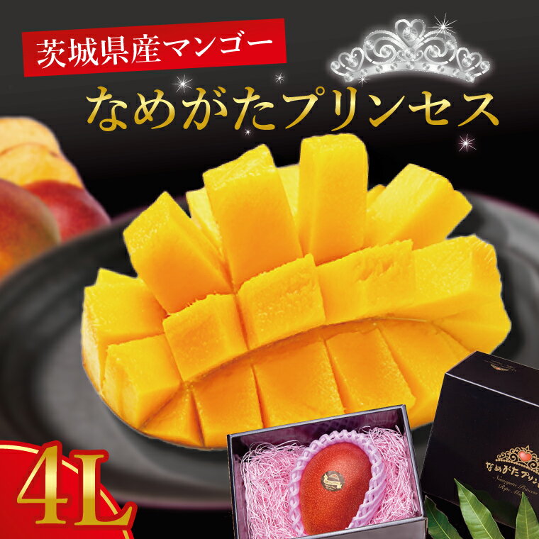 【ふるさと納税】【2026年6月下旬より順次発送】★数量限定★マンゴー なめがたプリンセス 1玉(4L)｜マンゴー フルーツ 果物 くだもの 数量限定 先行予約 茨城県 行方市(EJ-3)