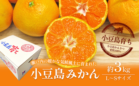 みかん 小豆島みかん 柑橘 フルーツ 国産 みかん【約3kg】