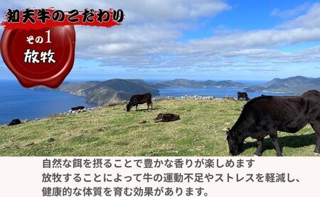 限定30セット【知夫里島】経産牛サーロインステーキ３００g