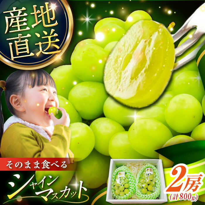 【ふるさと納税】【2026年先行予約】【8月初旬頃から順次発送】 シャインマスカット 皮ごと食べれる！シャインマスカット 2房 約800g ぶどう ブドウ 葡萄 フルーツ 果物 くだもの 種なし 皮ごと 贈り物 お祝い 先行予約 島根県雲南市/池田ぶどう農園　[AIAA002]