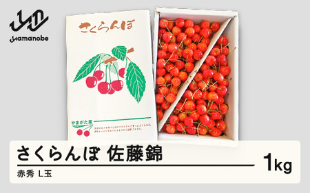 先行予約 さくらんぼ 佐藤錦 赤秀 L玉 1kg バラ詰 ご家庭用 2025年産 令和7年産 山形県産 mm-snalx1000