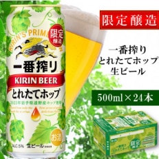 キリン 一番搾り とれたてホップ 生ビール 2023 500ml×24本 1ケース 遠野産ホップ使用