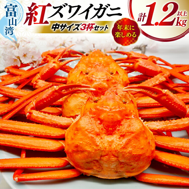 【ふるさと納税】 【選べる発送月】 カニ ベニズワイ 冷凍便 中サイズ 3杯 総計1.2kg以上 [聖徳丸 富山県 朝日町 34310555] かに 蟹 紅ズワイガニ ベニズワイガニ 紅ずわいがに