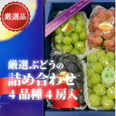 【ふるさと納税】岡山県産【厳選品】ぶどう4品種4房リズムボックス【配送不可地域：離島】【1495345】