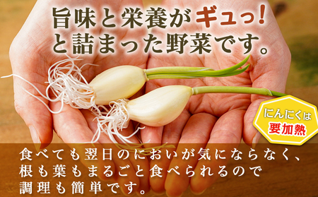 ≪季節限定!≫ぷりぷり食感の生きくらげ(白&黒Mix)+つまみにんにくセット_11-C902_(都城市)生きくらげ 黒きくらげ 白きくらげ 130g×3パック つまみにんにく スーパーフード