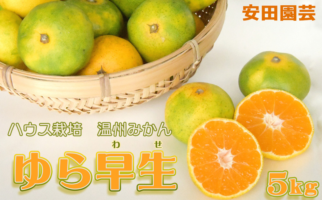 
                  【数量限定・先行予約】極上の甘さの極早生 温州みかん『ゆら早生』５kg　[0010-0368]
                