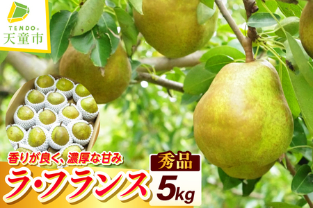 ラ・フランス 5kg フルーツ 果物 山形 08-11-007