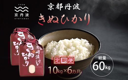 【6カ月定期便】 京丹波きぬひかり 10kg×6カ月連続 合計60kg 令和7年産 新米 京都 米 精米 キヌヒカリ ※北海道・東北・沖縄・その他離島は配送不可 [108MB002R]