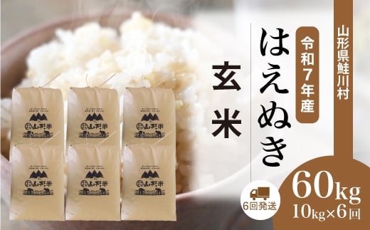 ＜令和7年産米＞ はえぬき 【玄米】 60kg定期便 （10kg×6回発送）＜配送時期選べます＞　山形県鮭川村