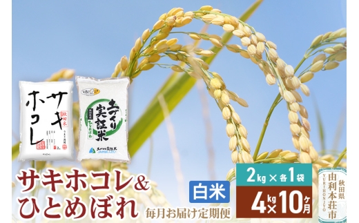 《定期便10ヶ月》【白米】令和7年産 サキホコレ2kg・土づくり実証米ひとめぼれ2kg (計4kg) ×10回 計40kg 精米 特A評価米 秋田県産