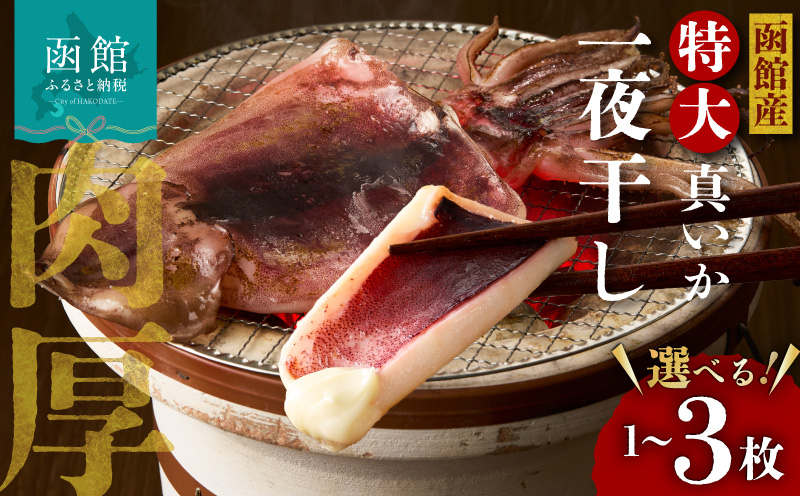 函館産 特大真いか 一夜干し 1枚 いか イカ 烏賊 特大 肉厚 干物 つまみ いか天 イカ天 冷凍 北海道 函館 はこだて_HD010-023