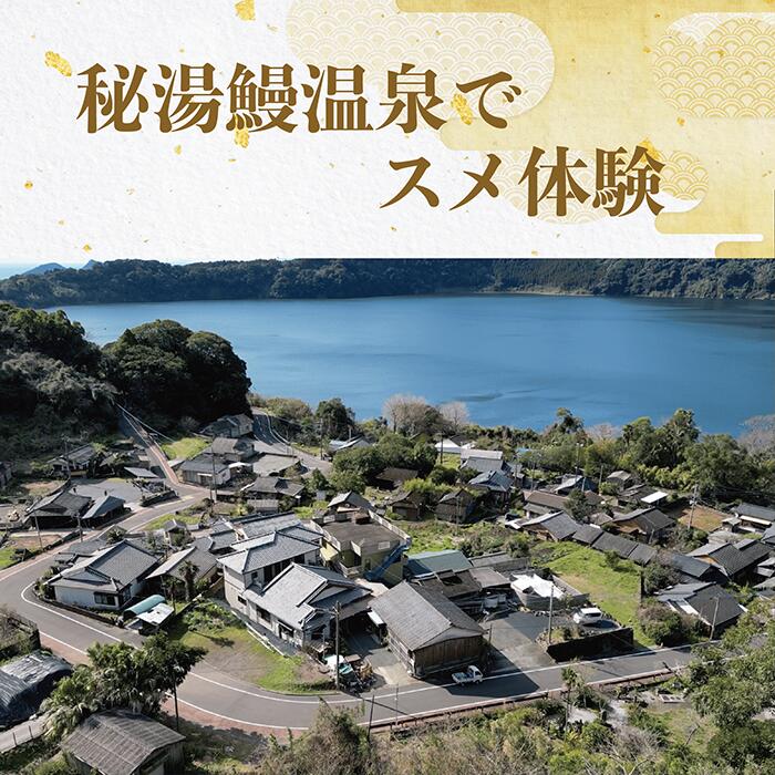 【ふるさと納税】秘湯鰻温泉でスメ体験 西郷どん愛犬13匹を探せ！ (1名様分) 体験 見学 観光 指宿 鹿児島 スメ すめ 蒸し 蒸し野菜 温泉 鰻温泉 うなぎ温泉 西郷どん 西郷隆盛 ガイド ツアー オリジナル 缶バッジ 探索【NPO法人指宿観光&体験の会】