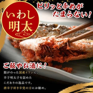 ピリ辛いわし明太(20尾)明太子 めんたいこ イワシ 鰯【マル五】as06-042
