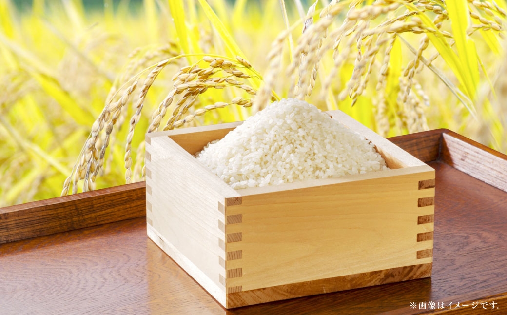 【 令和7年産 】 岡山県産きぬむすめ10kg（5kg×2袋）