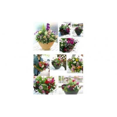 ふるさと納税 山口市 花うるるのおまかせプレミアム寄せ植え C102 |  | 02