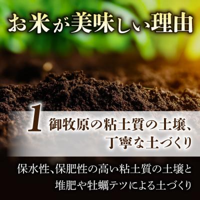 ふるさと納税 東御市 【里山JAPAN】長野県産!生きた土壌で育った御牧原米こしひかり 玄米(令和7年産)　5kg |  | 02