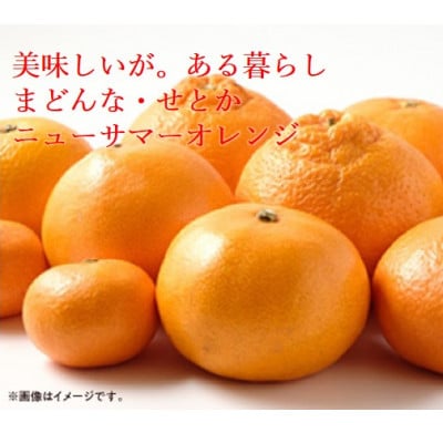 【発送月固定定期便】美味しい柑橘【まどんな・せとか・ニューサマーオレンジ】【G31−45】全3回【4058607】