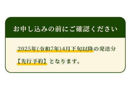 【2025年5月上旬より発送開始】 熊本県産 アンデスメロン 約5kg 4玉 メロン めろん アンデス フルーツ 果物 くだもの 旬 旬のフルーツ 旬の果物 特大 特大メロン 特大サイズ 甘い 青肉 