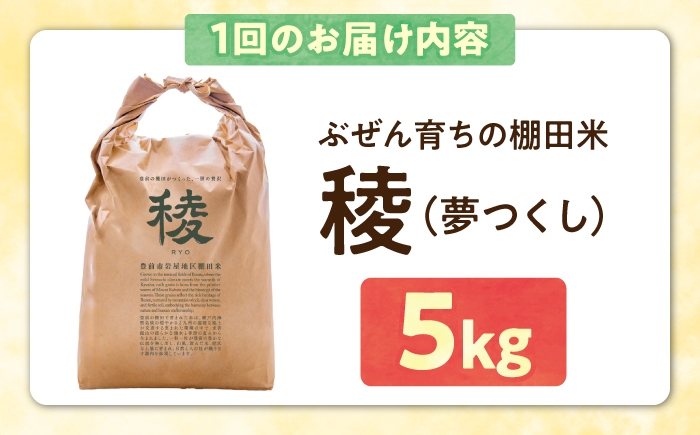 新米 産地直送 精米 国産 おすすめ 人気 5kg