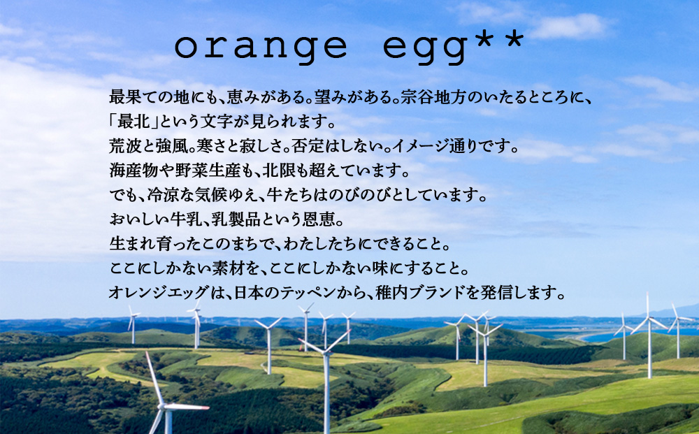 焼きプリンアイス 約 70g × 10個 北海道 ポテラーナワッカナイ