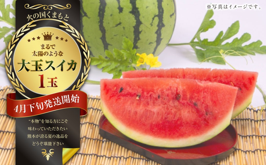 
            まるで火の国くまもとの太陽のような大玉スイカ1玉（熊本県産） 【2026年4月下旬発送開始】 すいか 西瓜 スイカ くだもの フルーツ 甘い 果物 夏 国産 常温
          