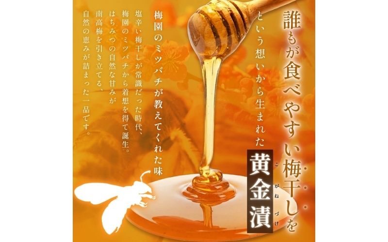 元祖はちみつ入梅干 黄金漬(400g) | 梅干し 紀州南高梅 梅 うめ ウメ はちみつ梅【umicbn001B】