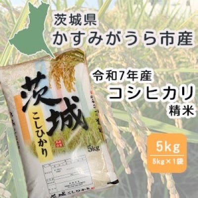 令和7年産　茨城県かすみがうら市産　精米　コシヒカリ　5kg【1662542】