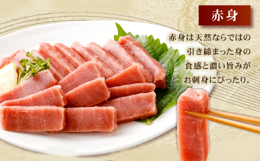 【 定期便 全３回 隔月 お届け 】まぐろの王様！天然本まぐろ味わいセット ２カ月に１回　合計３回  サク 柵 スライス 切落し セット 天然 天然まぐろ 天然マグロ まぐろ 鮪 刺身 お刺身 食べ比