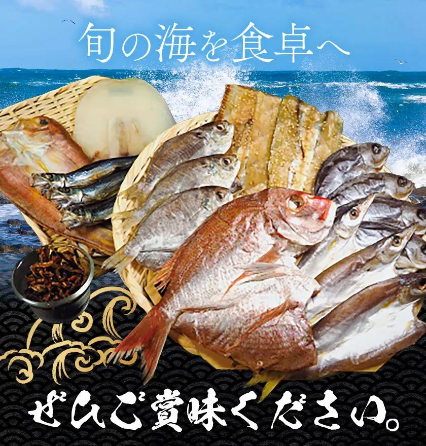 はまみや海産 美波 の 特選 干物セット 小セット 干物