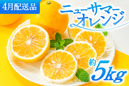 AA115.福岡柑橘王国．ニューサマーオレンジ約5kg／2026年4月配送