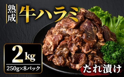 熟成牛ハラミ 2kg (250g×8パック) たれ 味付 小分け 冷凍 焼肉 焼き肉 牛 牛肉 ビーフ ハラミ BBQ 【そうざい男しゃく】【ho1469】