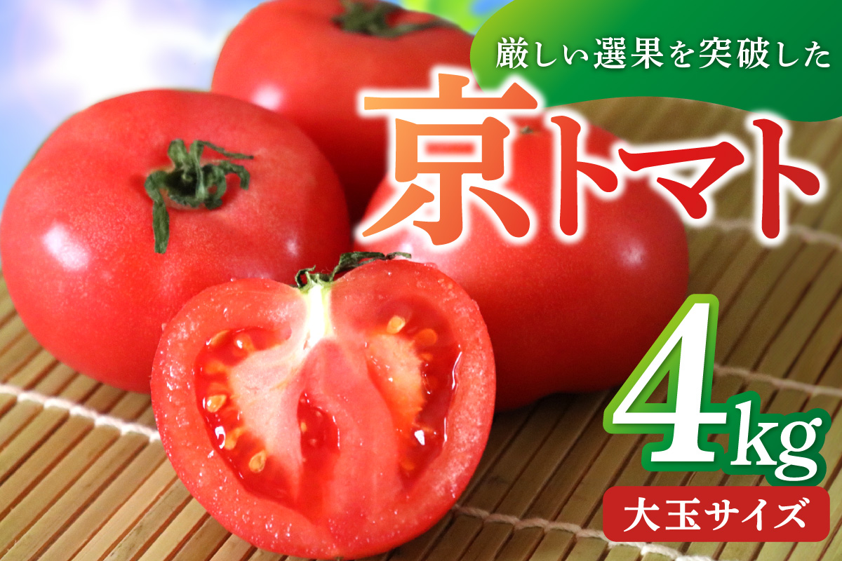 【先行予約】京丹後産・京トマト 4kg（12～24玉） 春夏発送（2025年5月中旬～発送）　JK00011