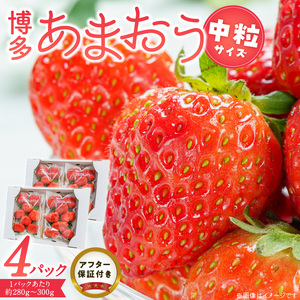 福岡県産あまおういちご　280g～300g×4パック（中粒）【3月～4月発送】 _ いちご あまおう 中粒 4パック 宇佐川農園 果物 フルーツ みずみずしい ジューシー 甘味 酸味 濃厚 ストロベリー パフェ ショートケーキ パンケーキ スムージー サンドイッチ ジャム 福岡県産 久留米市 お取り寄せ 送料無料 _Fi077-03