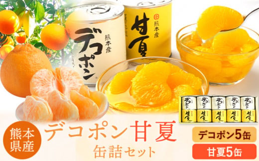 デコポン・甘夏缶詰セット計10缶入り《60日以内に出荷予定(土日祝除く)》熊本県 葦北郡 津奈木町 あしきた農業協同組合 JAあしきた 柑橘 デコポン 甘夏 あまなつ フルーツ 果物 缶詰 セット 送料無料