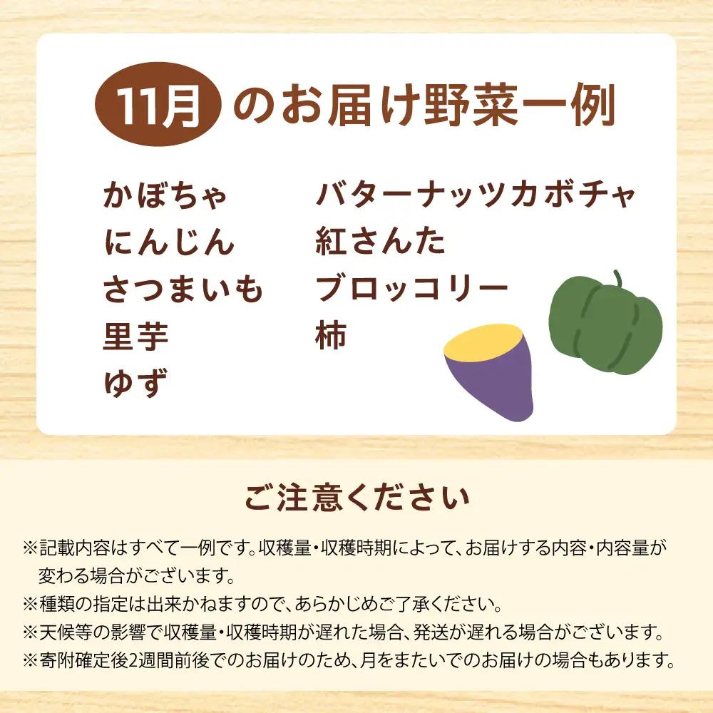 高槻野菜おまかせ詰め合わせセット 11月（10種〜15種）[AOCS017] 野菜セット