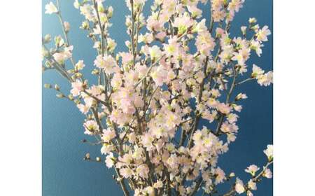 啓翁桜 約90cm×10本 桜 さくら サクラ 花 【2026年1月上旬-2月下旬発送予定】