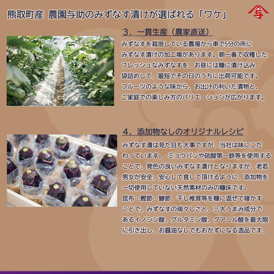  水なす漬け5個セット