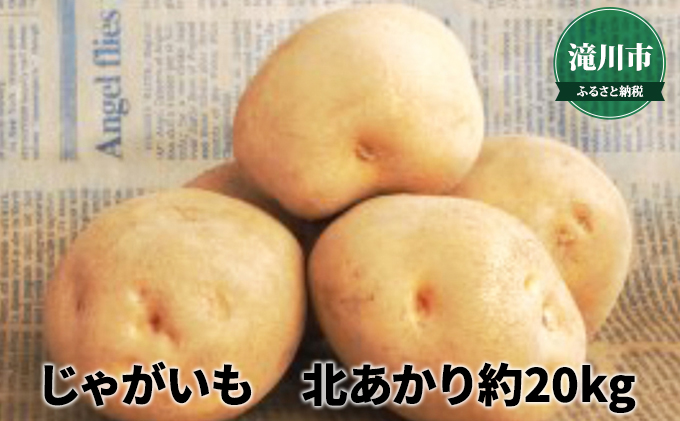 北海道産 じゃがいも北あかり 約20kg＜2024年9月下旬～順次出荷＞｜北海道 滝川市 北アカリ 北あかり キタアカリ きたあかり じゃがいも 野菜 2024年発送 令和6年発送 やさい ジャガイモ