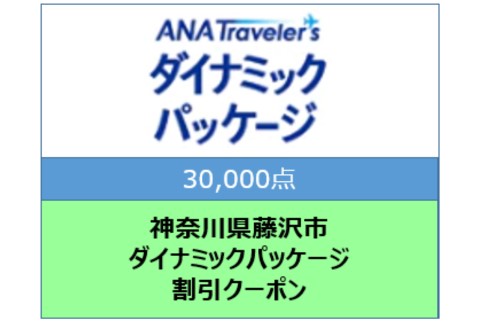 神奈川県藤沢市 ANAトラベラーズダイナミックパッケージ割引クーポン30,000点分