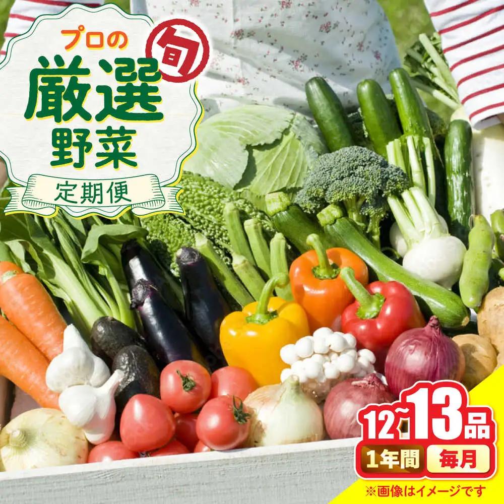 【12回定期便】野菜セット 12から13品目 野菜定期便[SGG001]