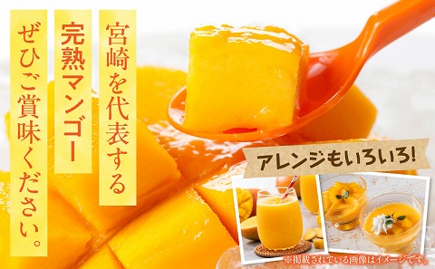 【期間・数量限定】宮崎県産訳あり完熟マンゴー1.2kg(3～4玉)_M359-006
