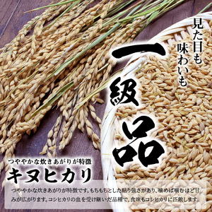 令和7年度産  近江米「キヌヒカリ」 20kg 