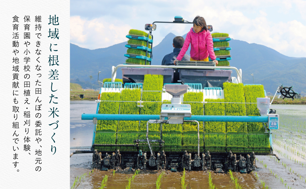 ★令和7年産 新米★ ＜8月発送開始＞ 鹿児島県南さつま市産「金峰コシヒカリ」5kg 【玄米低温貯蔵・白米でお届け】超早場米 早期米 こしひかり 白米 九州産 鹿児島県産 お米 コメ おこめ 5キロ 