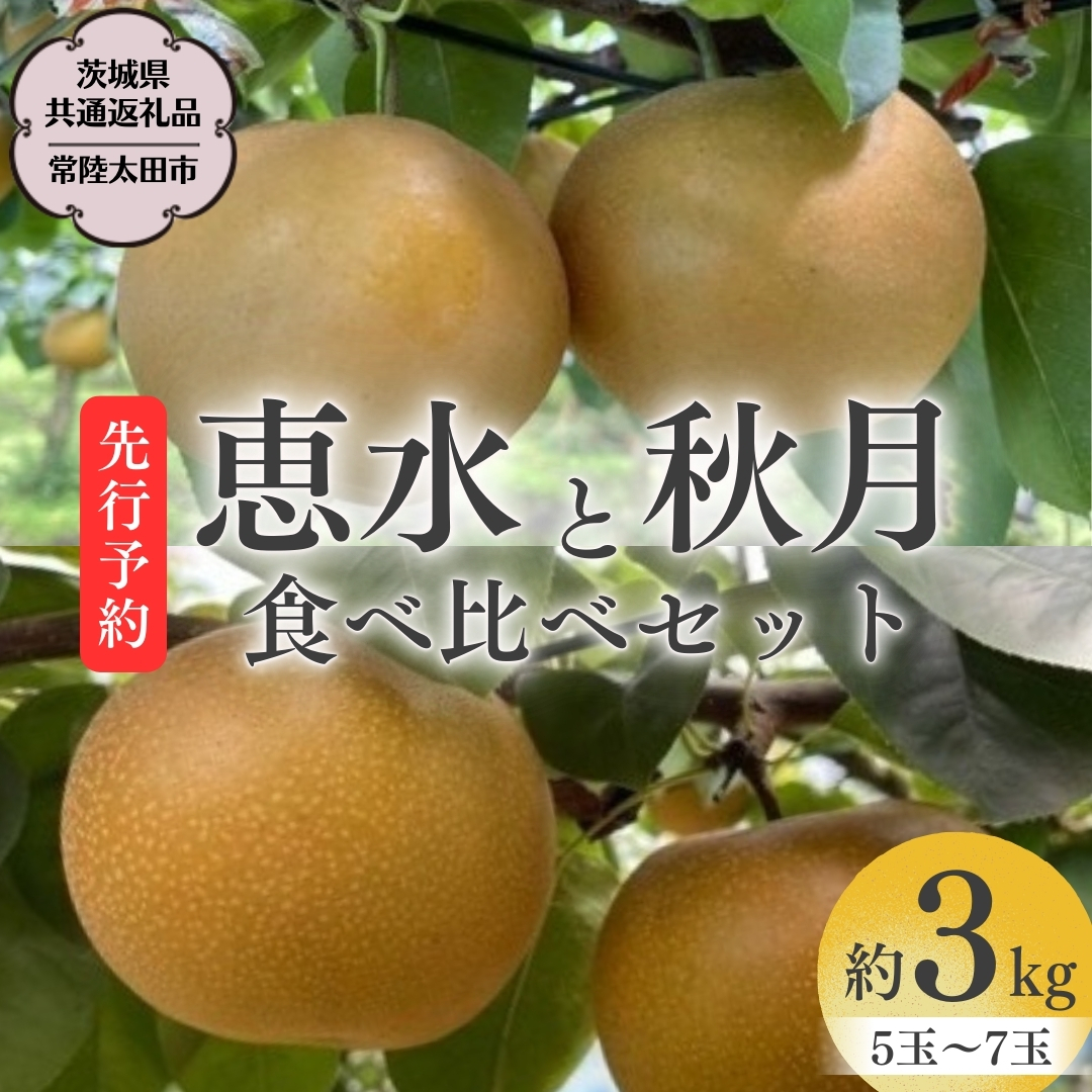 【 2025年 先行予約 】 厳選 2種！恵水 と 秋月 の 食べ比べセット 約3kg 5玉～7玉 【 茨城県共通返礼品 ／ 常陸太田市 】 2025年9月中旬発送 桧山果樹園 フルーツ 甘い 直送 茨城 限定 ギフト 梨 旬 贈答 果物 [DU019sa]